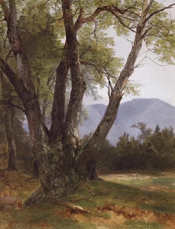 Asher Brown Durand Shandaken,Ulster County